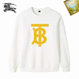 Picture of Burberry Sweatshirt _SKUBurberryM-3XL25tn11830731